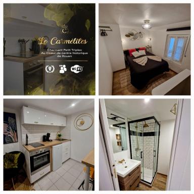 LE PETIT TRIPLEX DES CARMELITES -COEUR HISTORIQUE - Housity