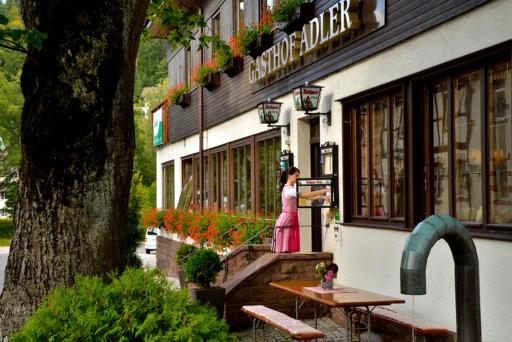 Gasthof Adler - Housity