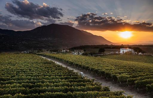 Giardino Delle Oche - Ocone Taburno Wine County - Housity