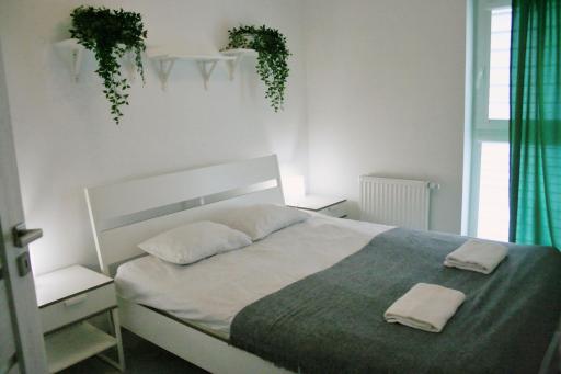 Apartament Tricolore - Housity