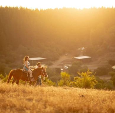 Glamping, escapada en la naturaleza - Housity