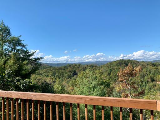 Horsin Around Tennessee - Housity