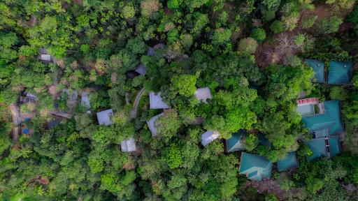 The Hive, Wayanad - Housity