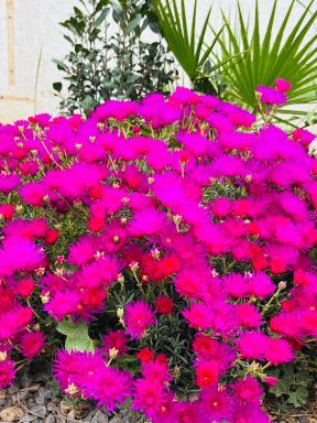 Villa le jasmin - Housity