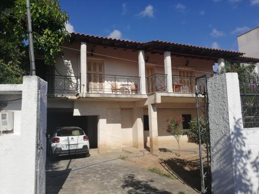 ZISSI'S HOUSE - Housity