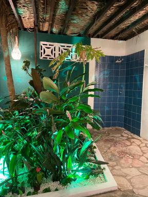 Alma Livre Pipa Casa de Praia - Housity