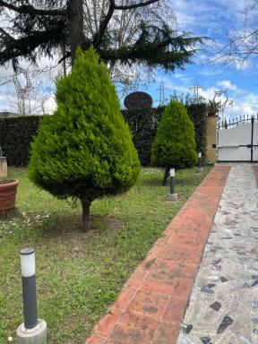 Affittacamere D’annunzio - Housity