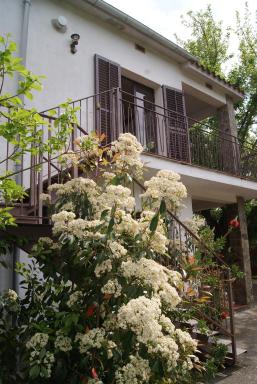 Apartamento con encanto l'Estany 2 - Housity