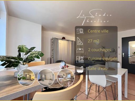 Le studio Théolier DOWNTOWN - close to pedestrian street - Housity