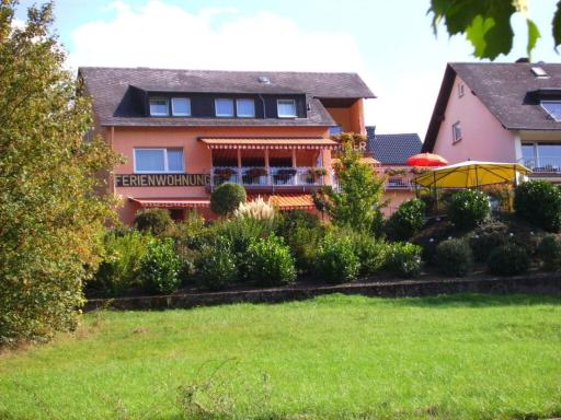 Moselblick