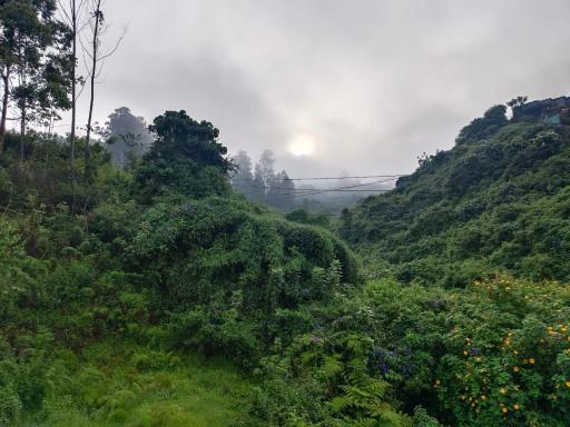Pavithra Home stay munnar - Housity