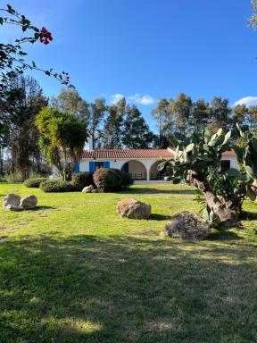 Bidd’e Majori - Housity
