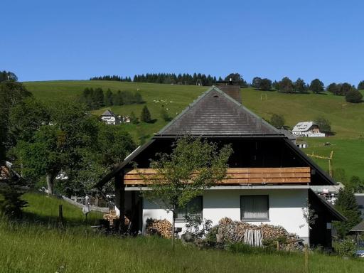 Schwarzwaldhaus Sonnenstraße, Oberried-Hofsgrund, Dreisamtal - Housity