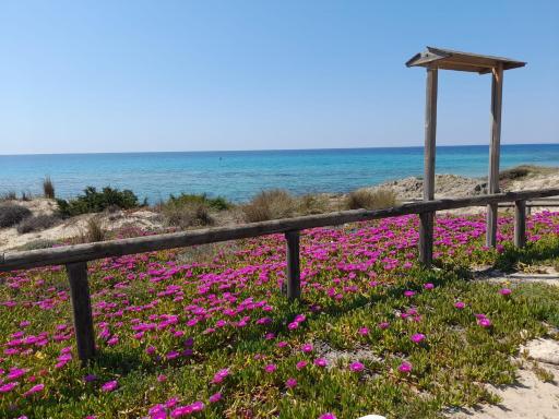 Home Salento 2 - Housity