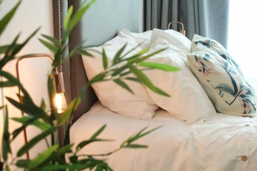 HOM I Confortable Studio Nuevo En Mejor Zona Antofagasta 2117 - Housity