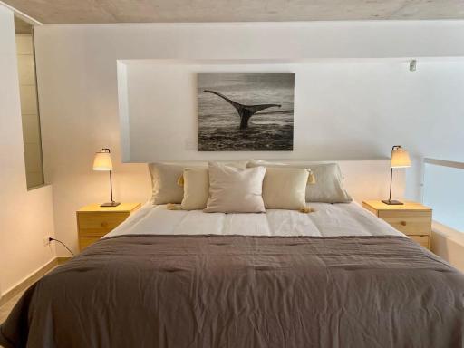 HOM I TOP1 Amplio Loft con Jardín Nuevo Estacionamiento 1309 - Housity