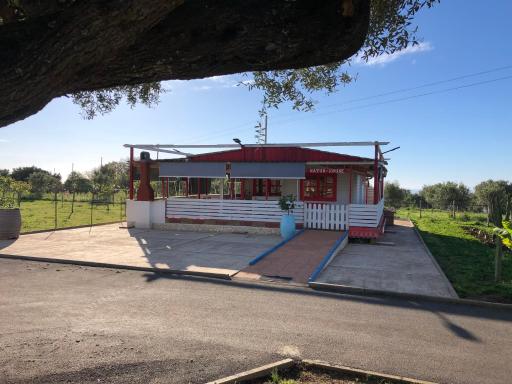 Natur House da Mary - Housity