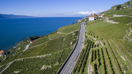 Domaine du Burignon - Housity