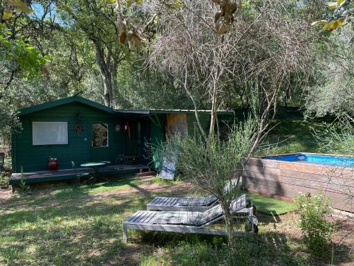 Chalet avec piscine privée dans la forêt - Housity