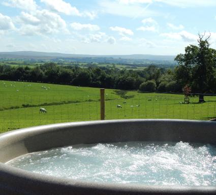 The Lodges at Thornbrook - Housity
