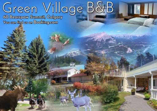 Green Village B&B - Housity