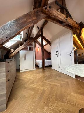 Nid d'amour sous les toits ! - Housity