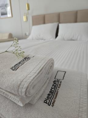 Apartamenty Piekarczyk - OLD TOWN Elbląg - No Air Conditioning - Housity