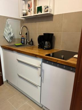 Apartment, Monteurwohnung mit ruhiger Terrasse in Worms - Housity