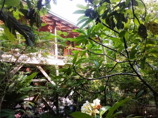 Sanpopo Tree Top Cottage - A Gold Standard Tourism Approved Vacation Home - Housity