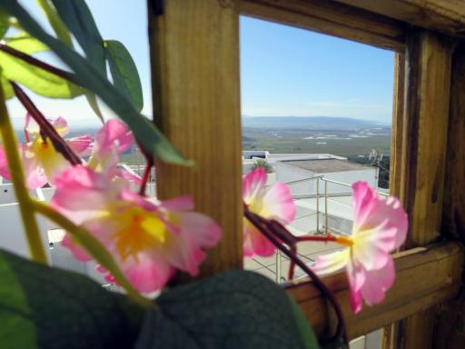 Lightbooking Vejer de la Frontera - Housity