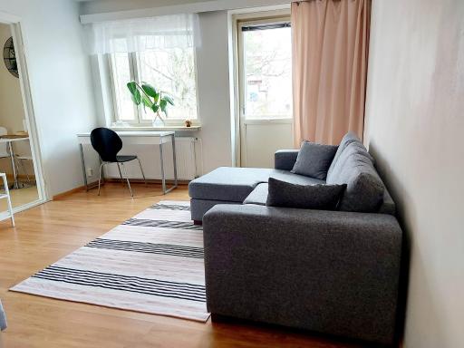 Spacious studio apartment near the center of Joensuu - Hizvo
