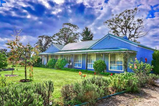 Marigold Cottage, A Blue Mountains Oasis- Spacious, Views & Kangaroos - Housity