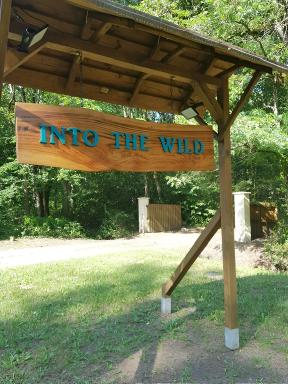 INTO THE WILD - Nos 5 logements 