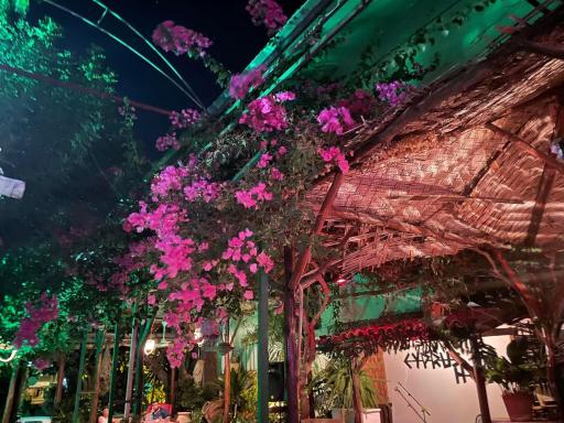 Kıbrıs Evi (Cyprus House) - Housity