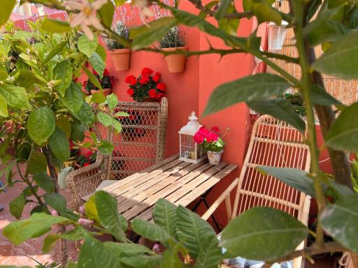 Studio beach - Housity