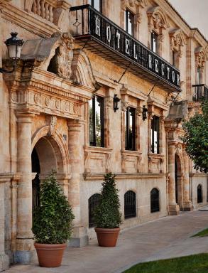Hotel Rector - Housity