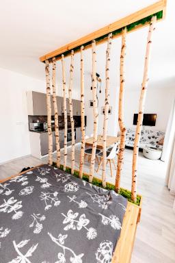 Apartmán v centru Železné Rudy se zahrádkou - Housity