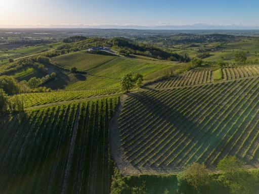 ORIZZONTI Vigneti Repetto - Housity