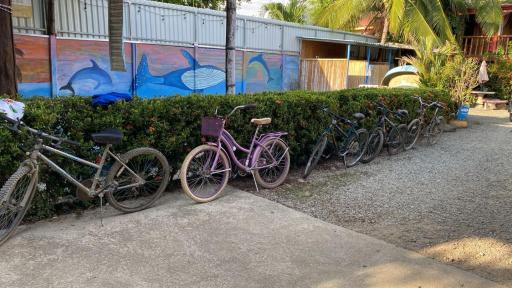malinche hostel - Housity