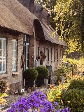 Bernstorfshof - Housity