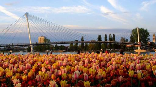 Jardin des Deux Rives - Housity