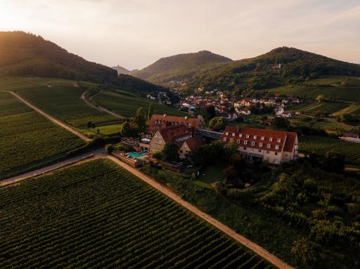 Hotel Leinsweiler Hof - Housity