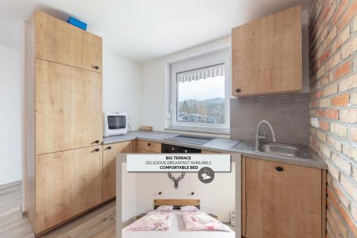 Apartma Naravni biser - Housity