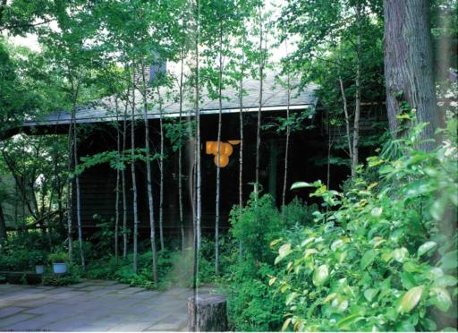 The No10 Forest Haven Villa - Housity