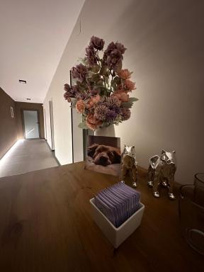 La Lomita Bed & Breakfast - Housity