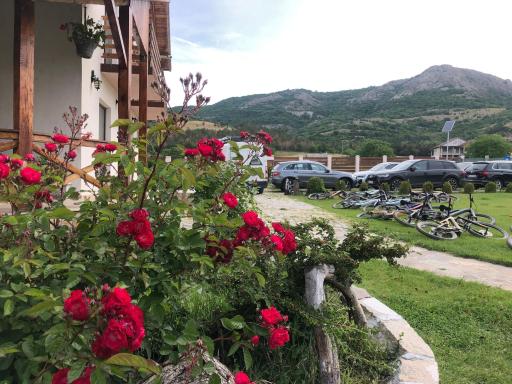 Plai Dobrogean - Housity