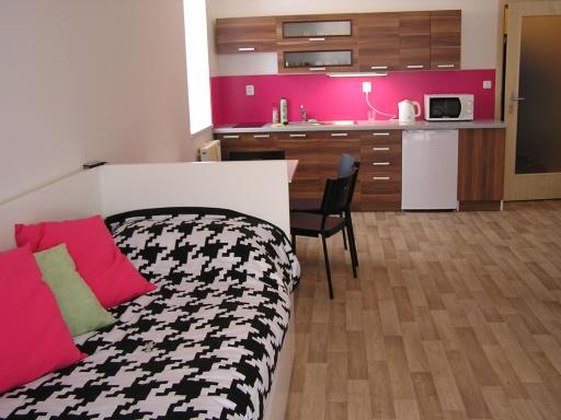 Apartment Třeboň - Housity
