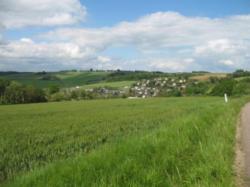 CAMPAGNE et FORET - Housity