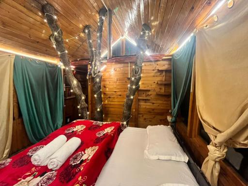 Authentic Tree House - Housity