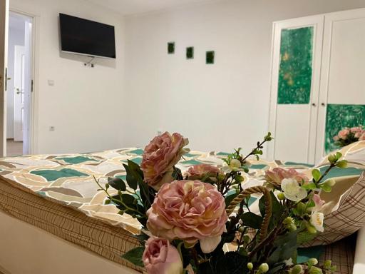 Apartament House Sasca - Housity